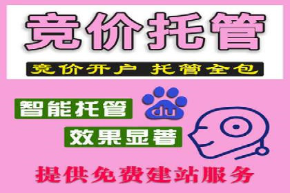 案例分享：SEM百度竞价助力电商转化率提升
